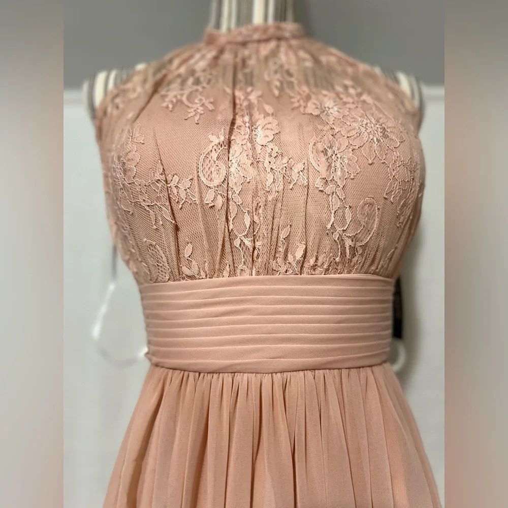 Sonsiya Blush Pink Lace Chiffon Maxi Dress Size 12 Formal Gown NWT - Picture 5 of 12